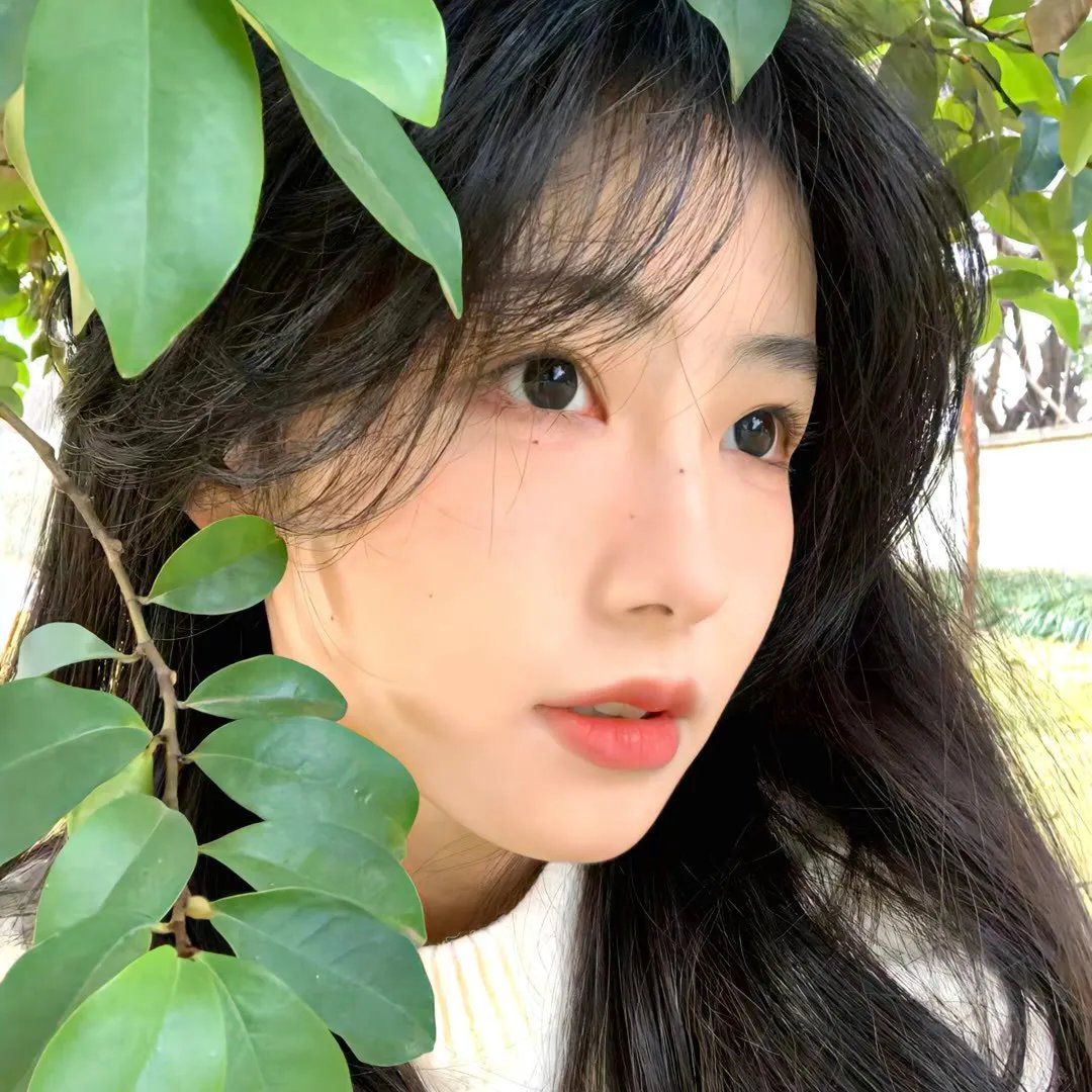 双狼